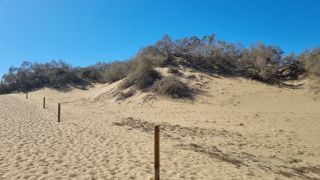 2023-GC--Mapalomas dunas-S123-119.jpg